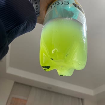 Schweppes İçinde Garip Yosuna Benzeyen Şeyler