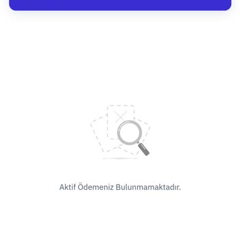 Türk Finansman Durduk Yere Borç Çıkardı