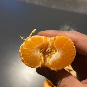 Hepsiburada Market Mandalinalar Kurtlu Çıktı!