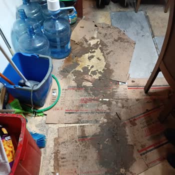 Shell Dörtdivan Mepet Akaryakıt