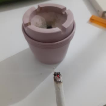 Marlboro Değil Talaş İçiyoruz