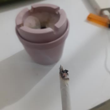 Marlboro Değil Talaş İçiyoruz