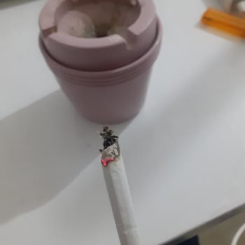 Marlboro Değil Talaş İçiyoruz
