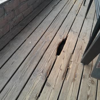 Pier Cafe Beykoz, Fareli Cafe