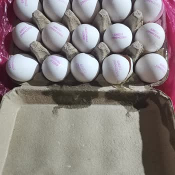 Yemeksepeti.com Yumurta Taşımayı. Beceremiyor. Acilen Önlem Gerekir
