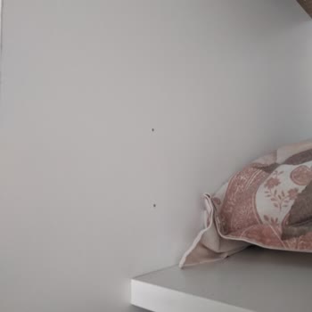Mondihome Sürekli Oyalıyor