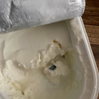 Torku Labne Peynirde Küf Çıktı