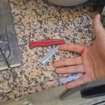 Victorinox Bıçak Domates Keserken Kırıldı