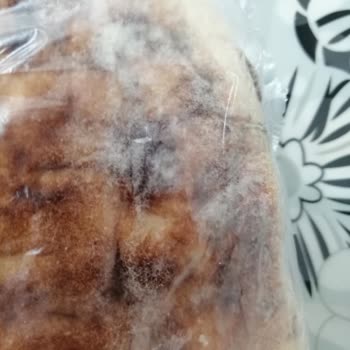 BİM Son Kullanma Tarihinden Önce Bozulan Ürün