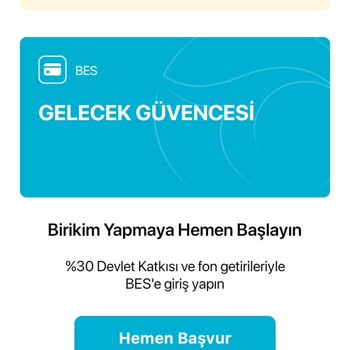 Türkiye Hayat Emeklilik Programından Biriken Parayı Göremiyorum