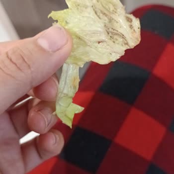 Ankara Etlik Şehir Hastanesi Yemekleri Kötü!