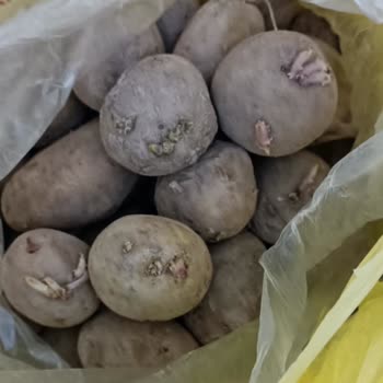 Cepte Şok'tan Gelen Ürünlerin Kötü Durumu