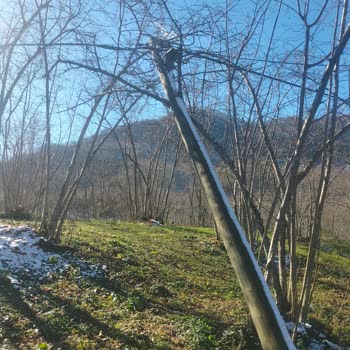 Türk Telekom Fındık Dallarında Hasar