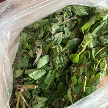 Mopaş Hipermarket Online Bozuk Ürünler