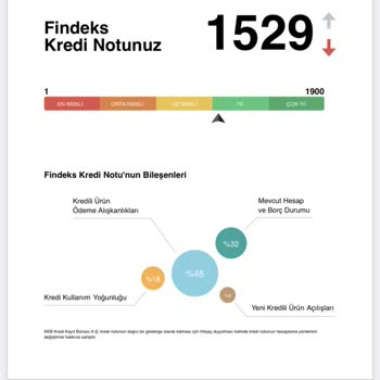 Findeks Notum Hiçbir Olumsuzluk Olmamasına Rağmen Düşüyor