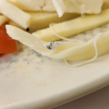 Alaçatı Muhallebicisi Kahvaltıda Küflenmiş Peynir