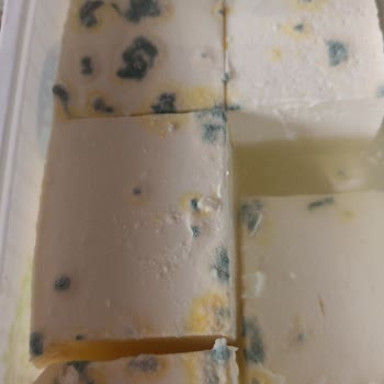 BİM'den Aldığım Peynir Tarihi Geçmemiş Olmasına Rağmen Küflü Çıktı