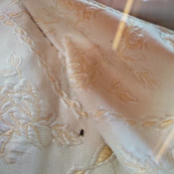 Sünnet Gölü Doğal Yaşam Oteli Hayal Kırıklığı