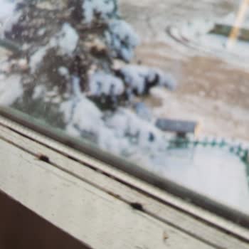 Sünnet Gölü Doğal Yaşam Oteli Hayal Kırıklığı