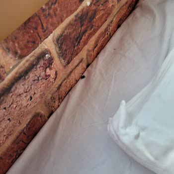 Sünnet Gölü Doğal Yaşam Oteli Göynük Sünnet Gölü Oteli'nde Hayal Kırıklığı