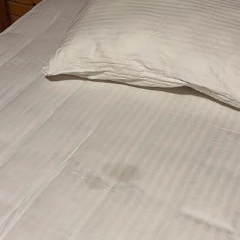 Sünnet Gölü Doğal Yaşam Oteli Hayal Kırıklığı Yaratan Otel Deneyimi