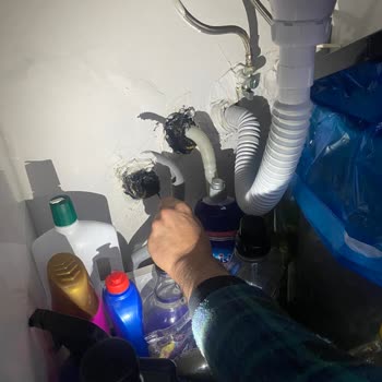İBB Belediyesi Lağım Faresi Sorunu