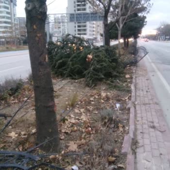 Kuryenet Ten Kuryelik Olmaz Bu İşi Bırakın Artık