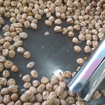 Maksul Kuruyemiş Kurtlu Nohut Hayal Kırıklığı