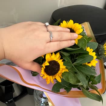 Çiçek Sepeti Pişmanlıktır