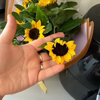 Çiçek Sepeti Pişmanlıktır