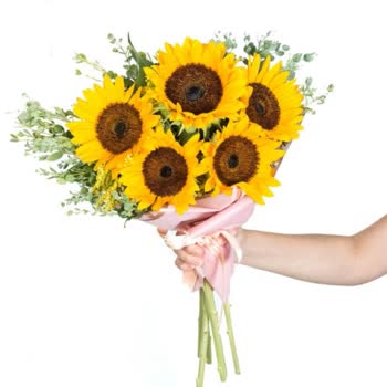 Çiçek Sepeti Pişmanlıktır