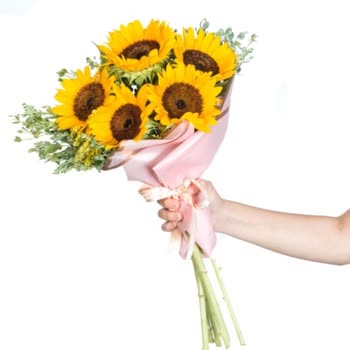 Çiçek Sepeti Pişmanlıktır