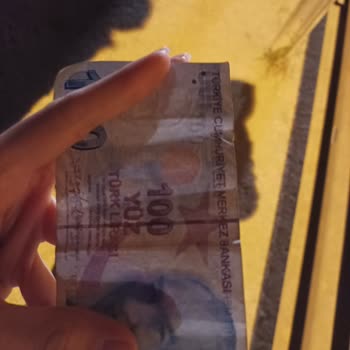 Neomarin MR Dıy Saygısızlığı