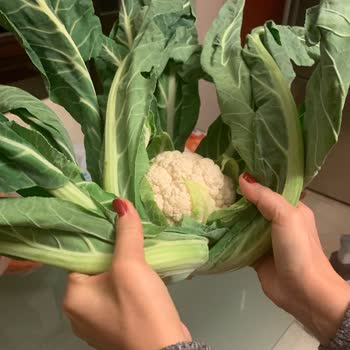 A101 Kapıda Sebze Alışverişi