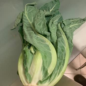 A101 Kapıda Sebze Alışverişi