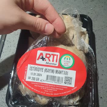 Migros Sanal Marketten Gelen Küflü Mantar Şikayeti