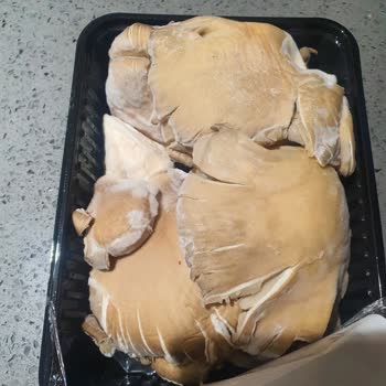 Migros Sanal Marketten Gelen Küflü Mantar Şikayeti