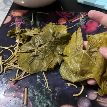 Erbaa.oztat_yaprak (Instagram) Kalitesiz Ürün Ve İlgisiz Satıcı!