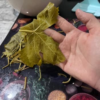 Erbaa.oztat_yaprak (Instagram) Kalitesiz Ürün Ve İlgisiz Satıcı!