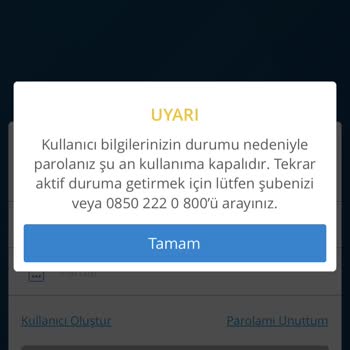 Denizbank Mobil Giriş Yapamıyorum