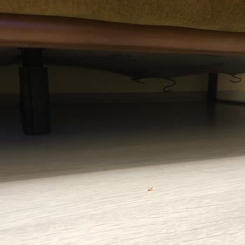 Genç Kent Mobilya Tamir Ve Onarım Yapmadılar