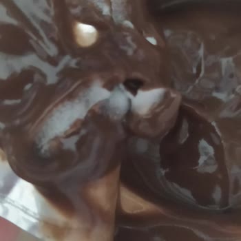 Danette Puding Çıkan Küf