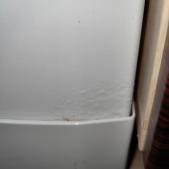 Rusting Occurred in My Arçelik 623I Dishwasher