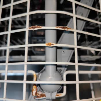 Rusting Occurred in My Arçelik 623I Dishwasher