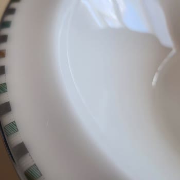 Schafer Yemek Takımı Renk Solması