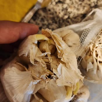 Migros Ayıplı Mal Teslimi