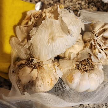 Migros Ayıplı Mal Teslimi