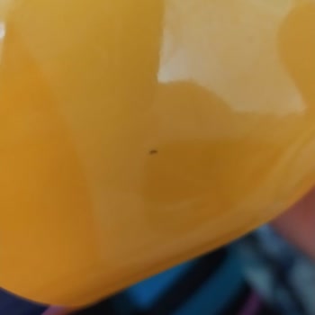 Fantanın İçindeki Cisim