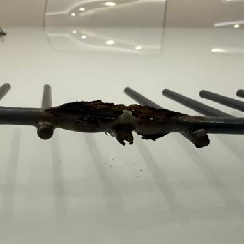 Bosch Bulaşık Makinesi Üst Sepetinde Paslanma Ve Çürüme Oluştu.