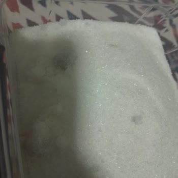 A101 Şeker Paketinden İçinden İslak Çıktık